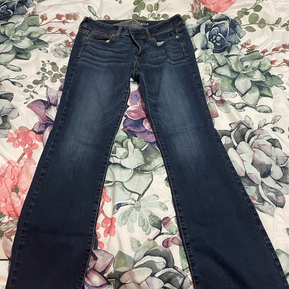 American eagle jeans 10 long